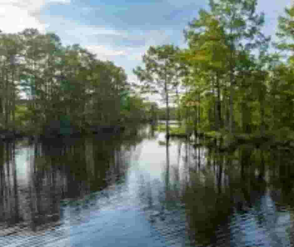 Moyock City North Carolina