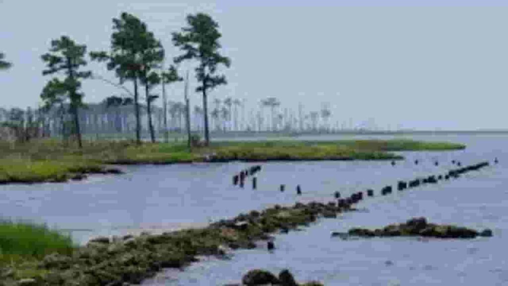 Swan Quarter City North Carolina