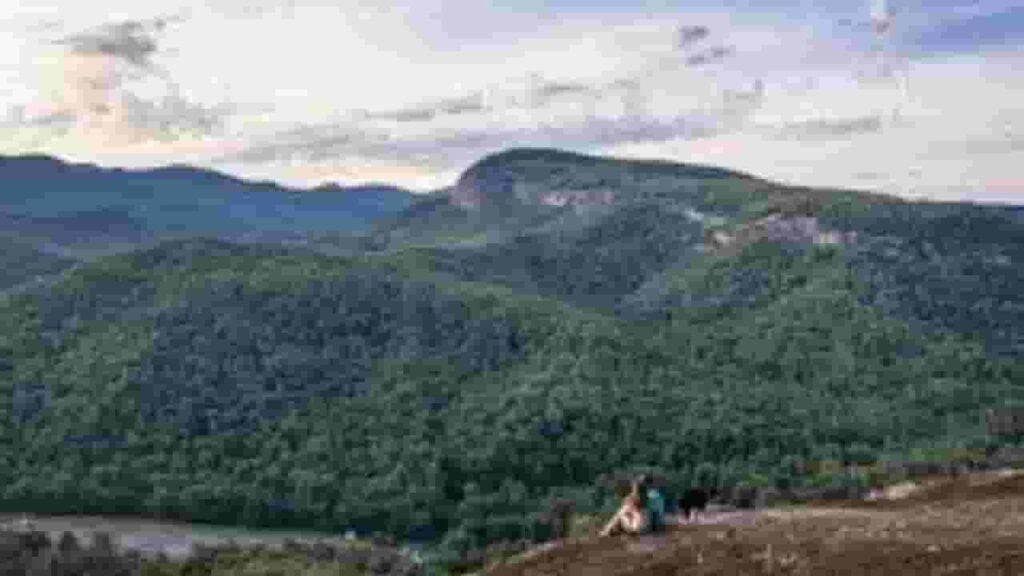 Pisgah Forest City north carolina